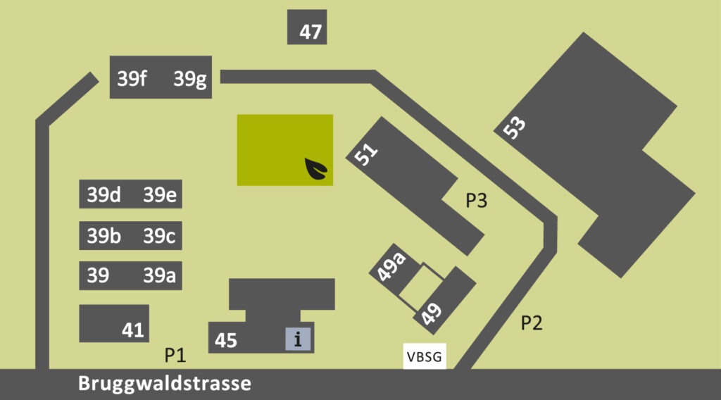 Situationsplan Bruggwaldstrasse