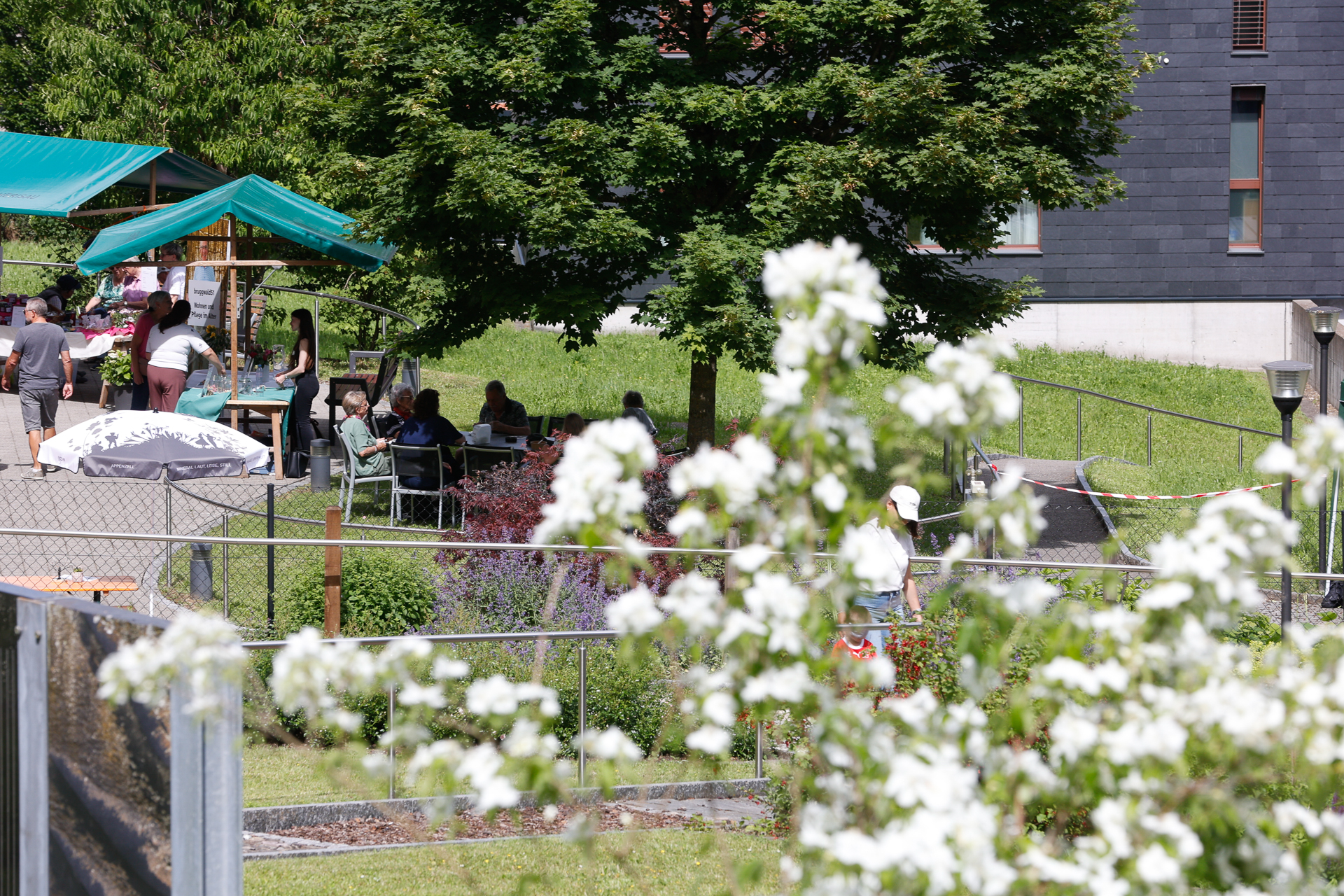 Die Menschen haben sich unter einem grünen Baldachin und um Tische herum in einer parkähnlichen Anlage mit Bäumen und viel Grün versammelt. Im Vordergrund sind weiße Blumen zu sehen, die den Blick teilweise versperren. Im Hintergrund ist ein Gebäude zu erkennen.